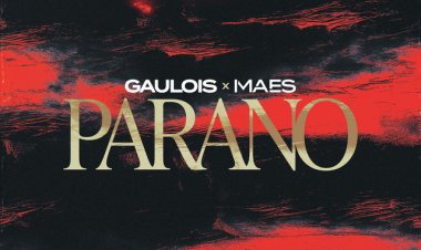 Gaulois feat. Maes - PARANO