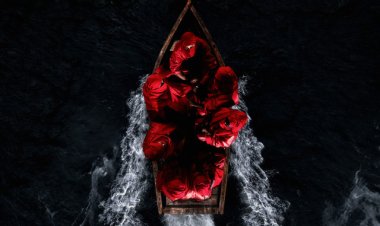 Niro - HAYATI (Episode 1 : Du sable et du sang)