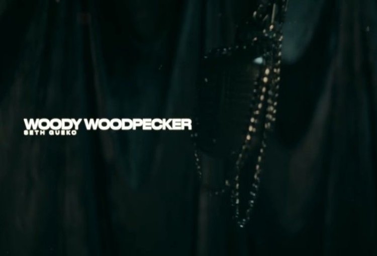 Seth Gueko - Woody woodpecker (Clip officiel)